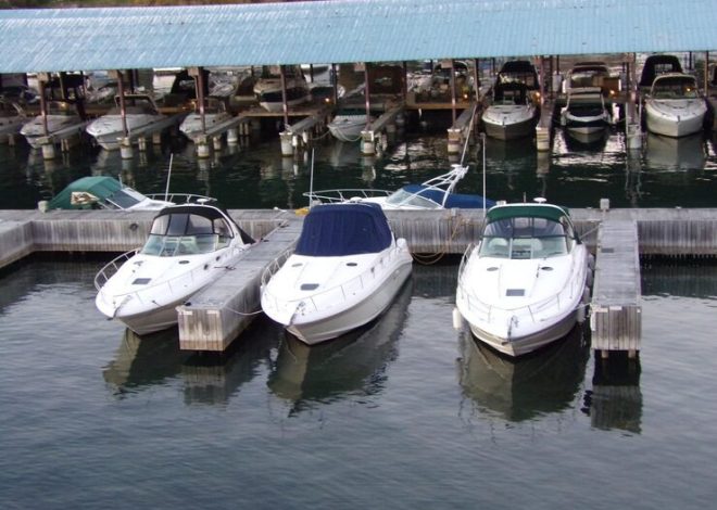 Used Mercury Outboard Motors: A Buyer’s Guide to Smart Savings